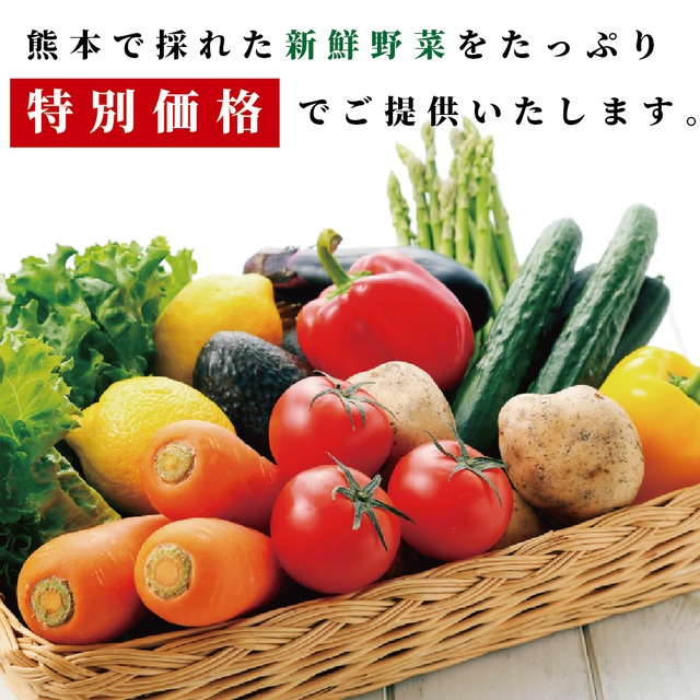 【定期便/２週に1回コース】野菜の詰め合わせ　レギュラーサイズ