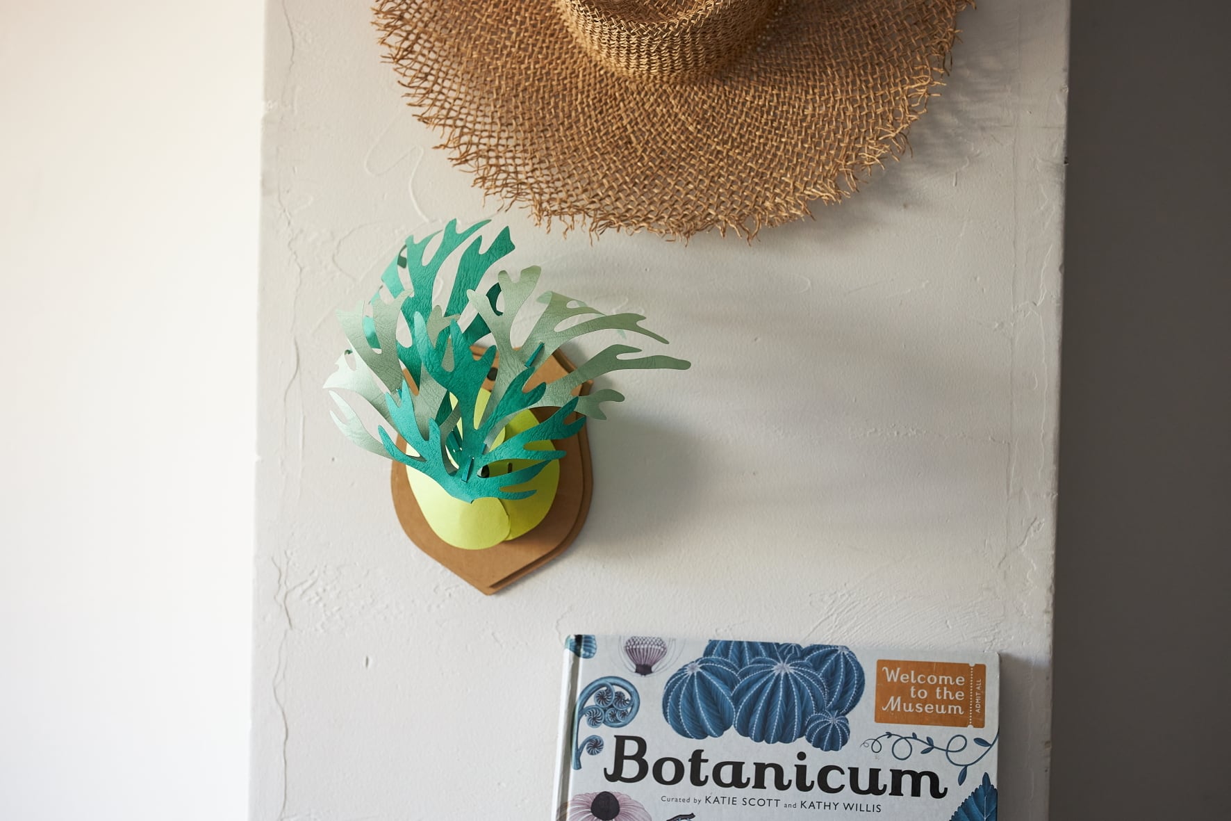 カミノミドリ ビカクシダRD | bog craft official store