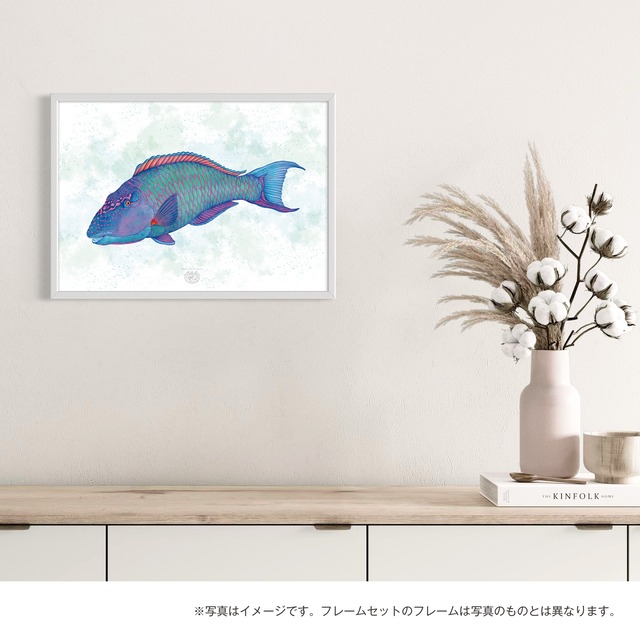 【海のいきものアートポスター／魚】イロブダイ