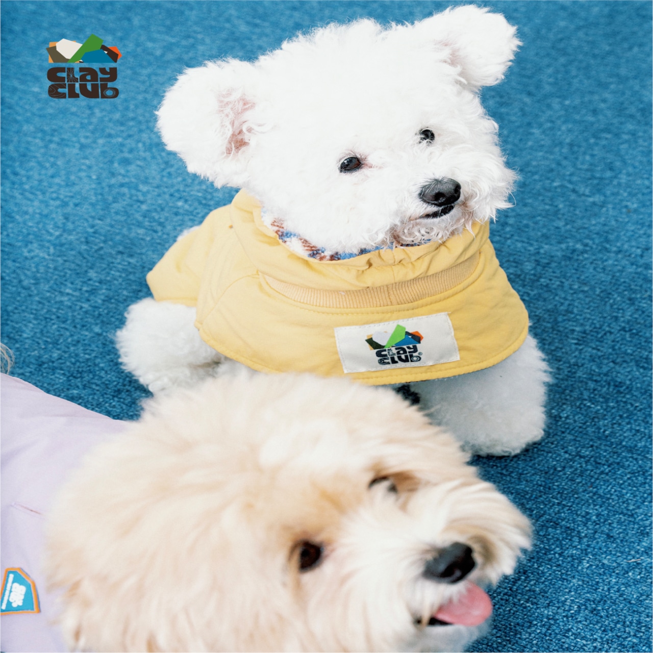 puppygallery公式】     Dual shield fleece Vest  2XL-3XL