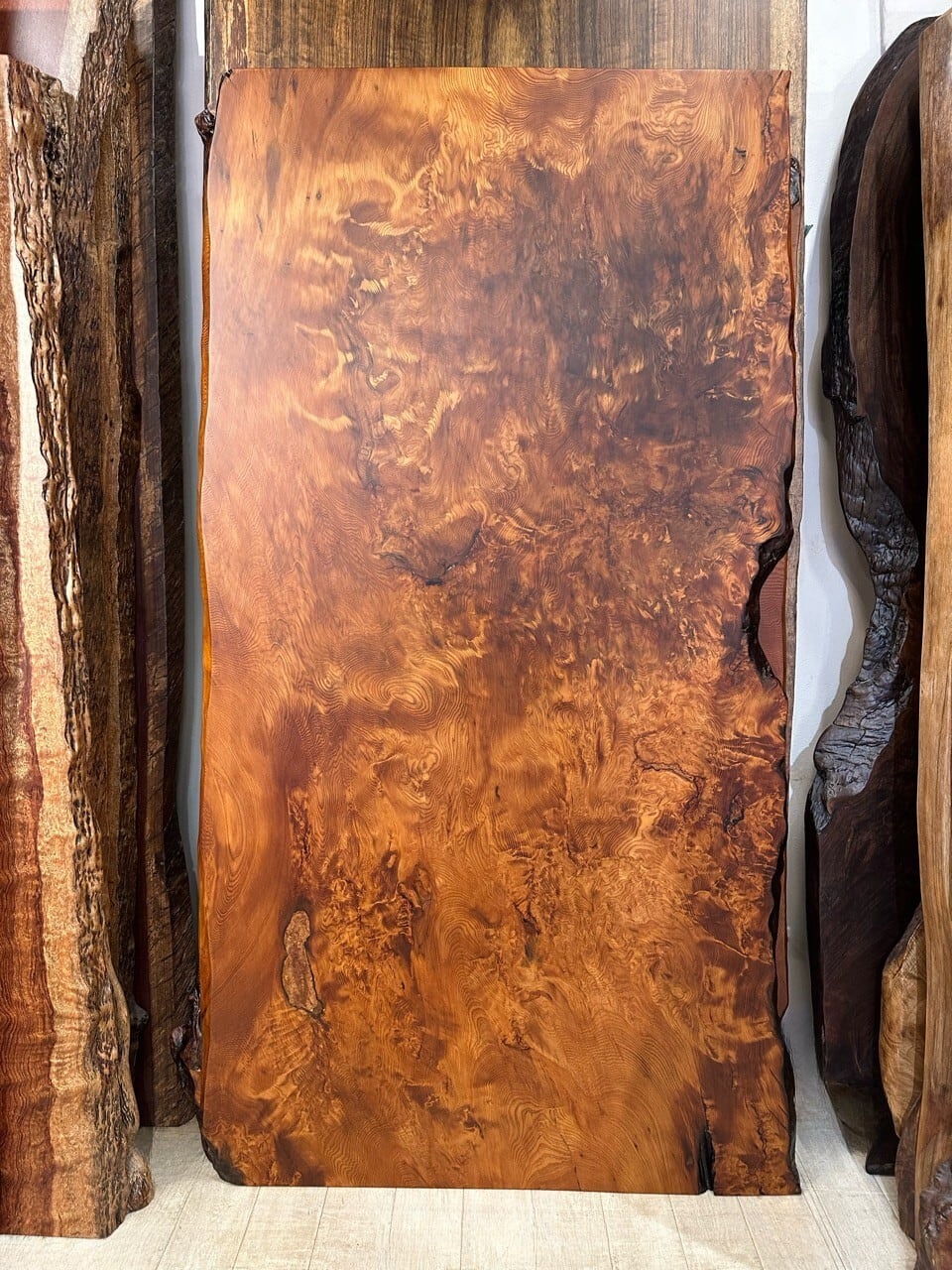 屋久杉（ヤクスギ）_1800×900×30_浅草本店_テーブル天板/一枚板 252622