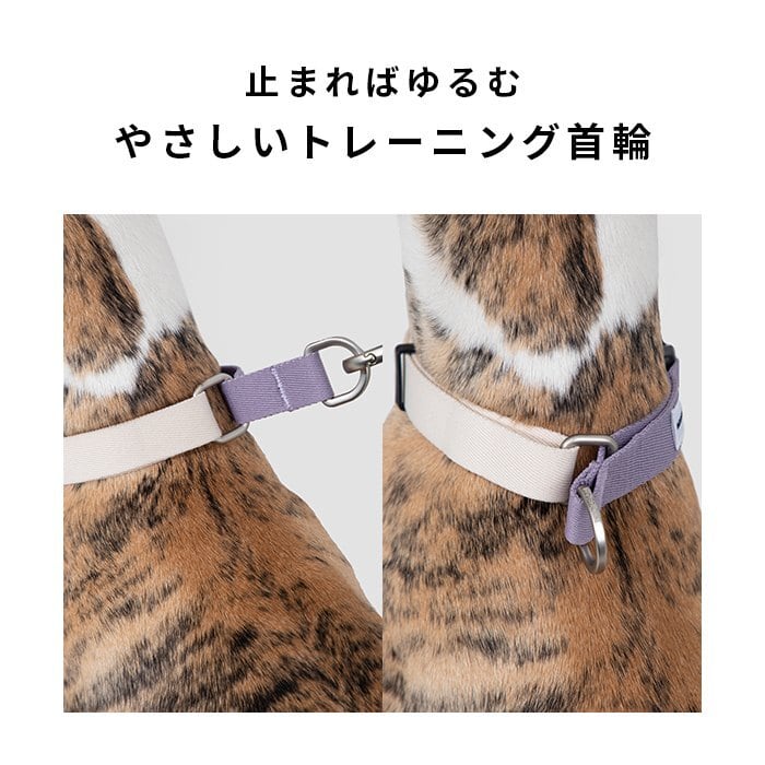 coop 犬用首輪 リボン付き ライトグレー SMALL フレブル 新作 犬 首輪 引っ張り防止 しつけ用 トレーニング首輪 調整可能
