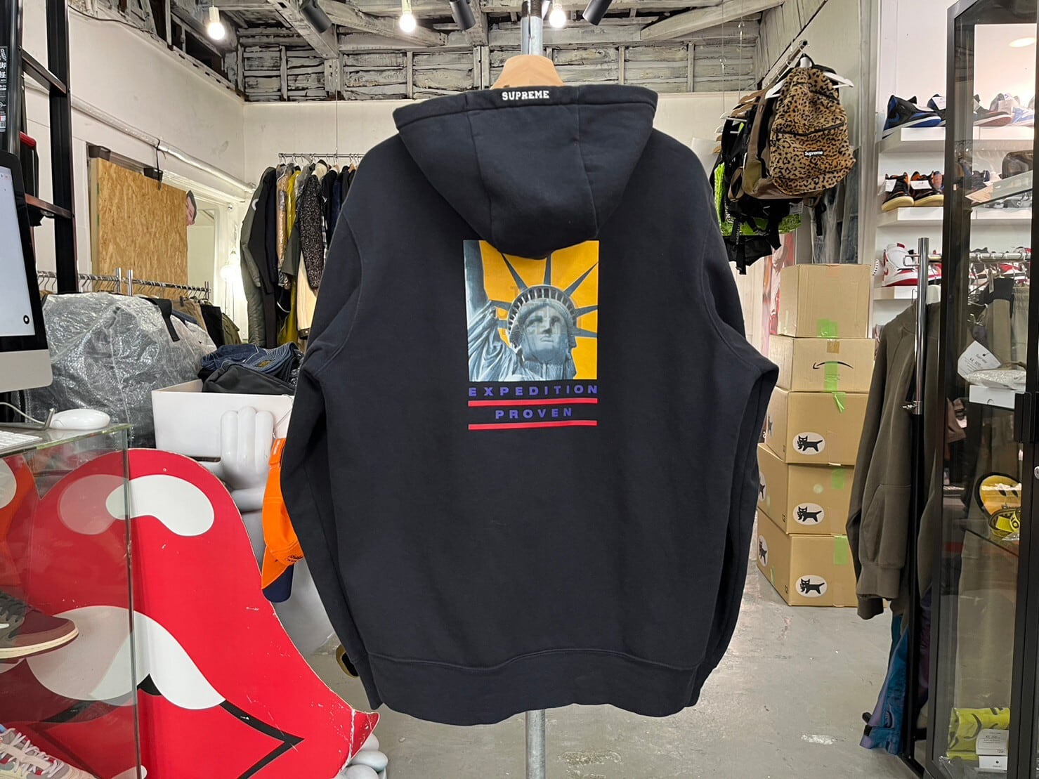 Supreme × THE NORTH FACE STATUE OF LIBERTY HOODED SWEATSHIRT BLACK ...
