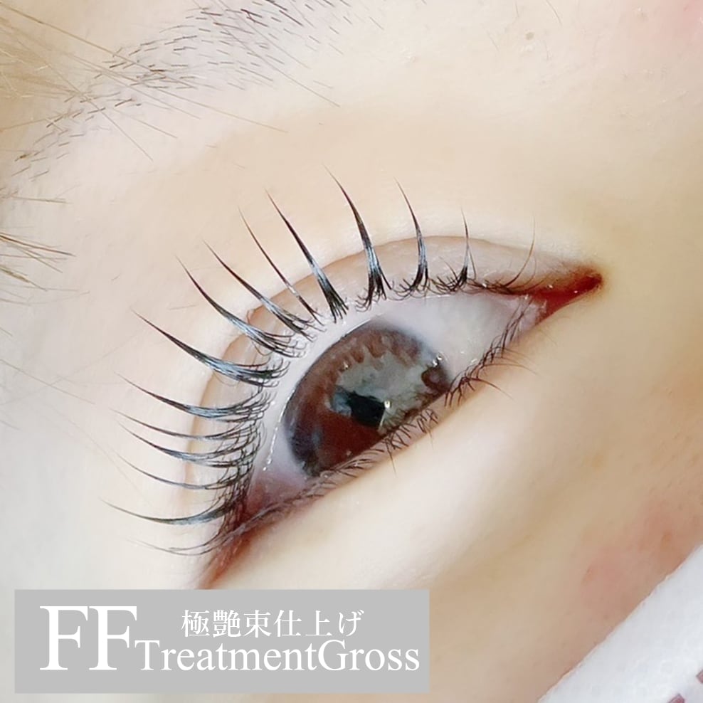 送料無料】【極艶・束仕上げ】FFトリートメントグロス | まつげ