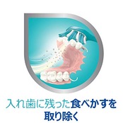 ポリデント 部分入れ歯・マウスピース専用ブラシ (色はお選びいただけません)