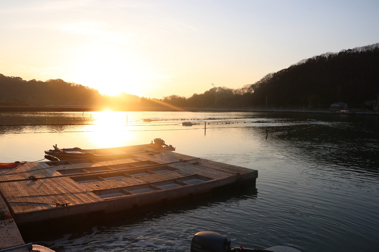 瞬間凍結 クレールオイスター剥き身_7粒入り(トレー) （冷凍 塩田熟成縞牡蠣むき身）