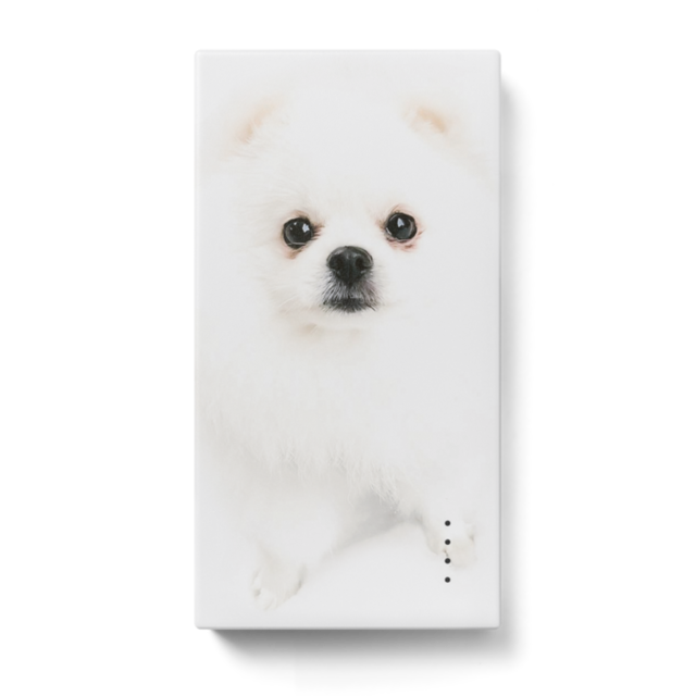 White Pomeranian モバイルバッテリー