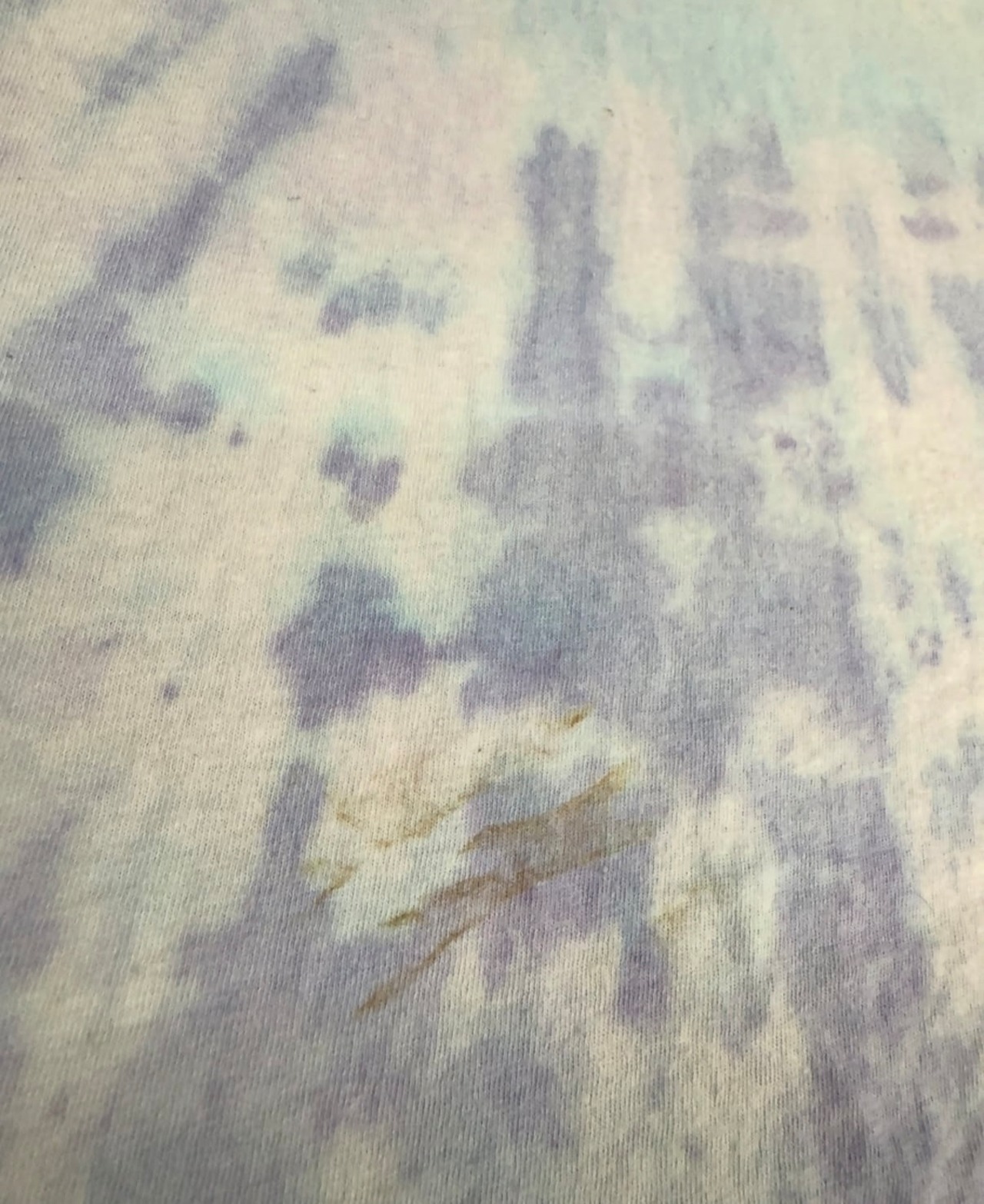 90s VOTE GARCIA IN '92  GRATEFUL DEAD / FRUIT OF THE ROOM【タグ欠損】・画像7