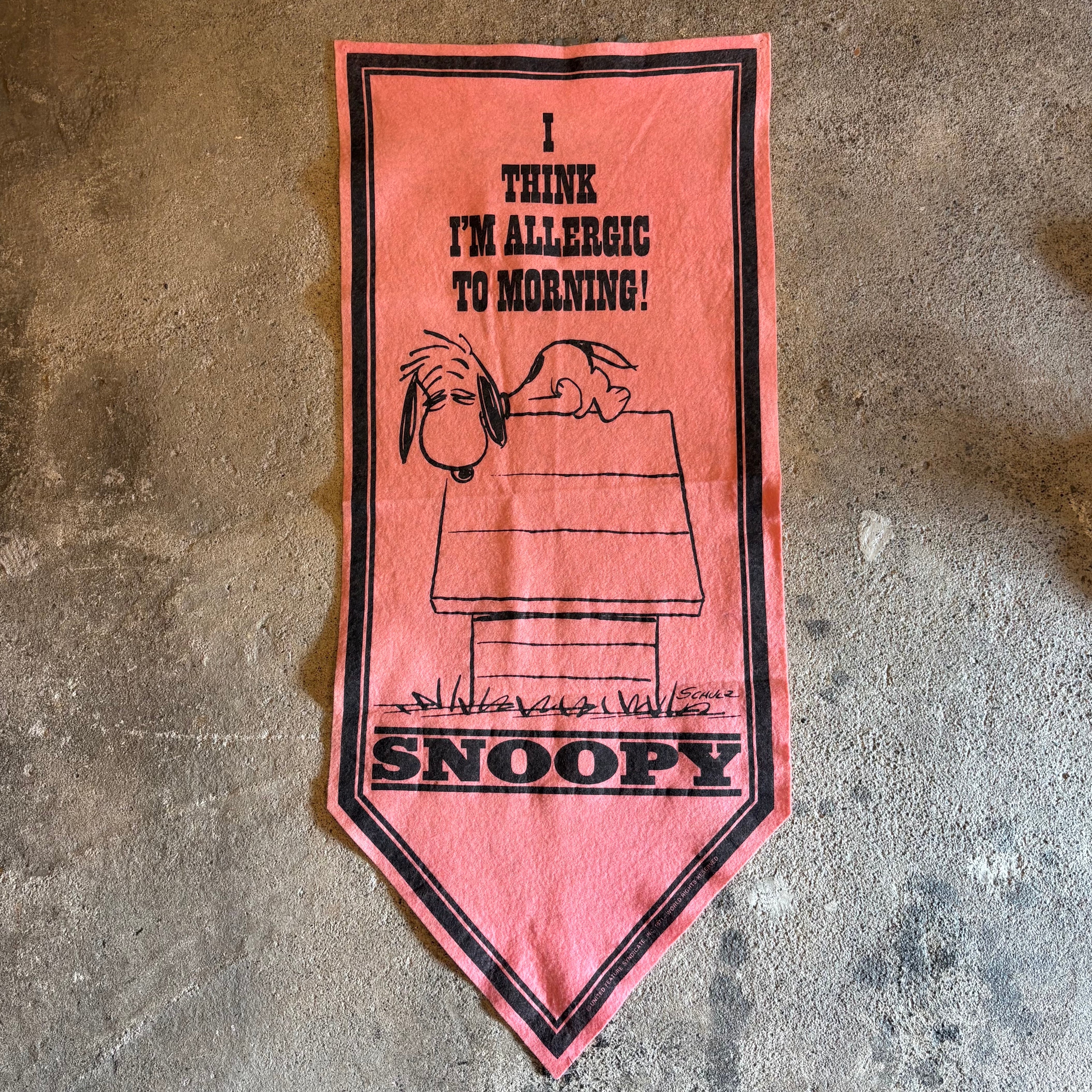 Vintage Peanuts Snoopy Felt Banner Pennant ⑧