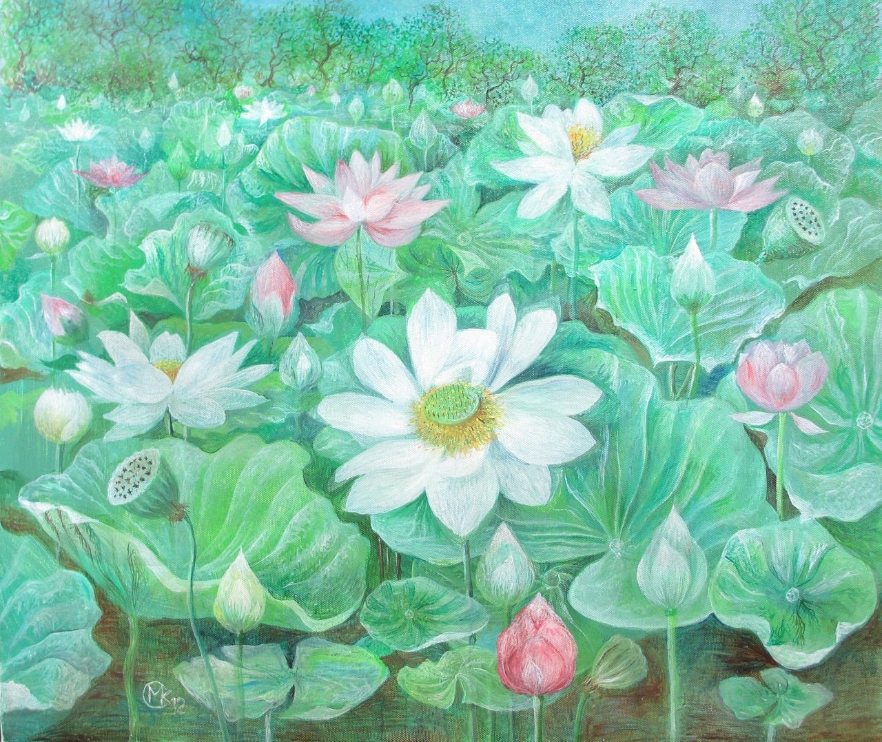 白とピンクの蓮の花