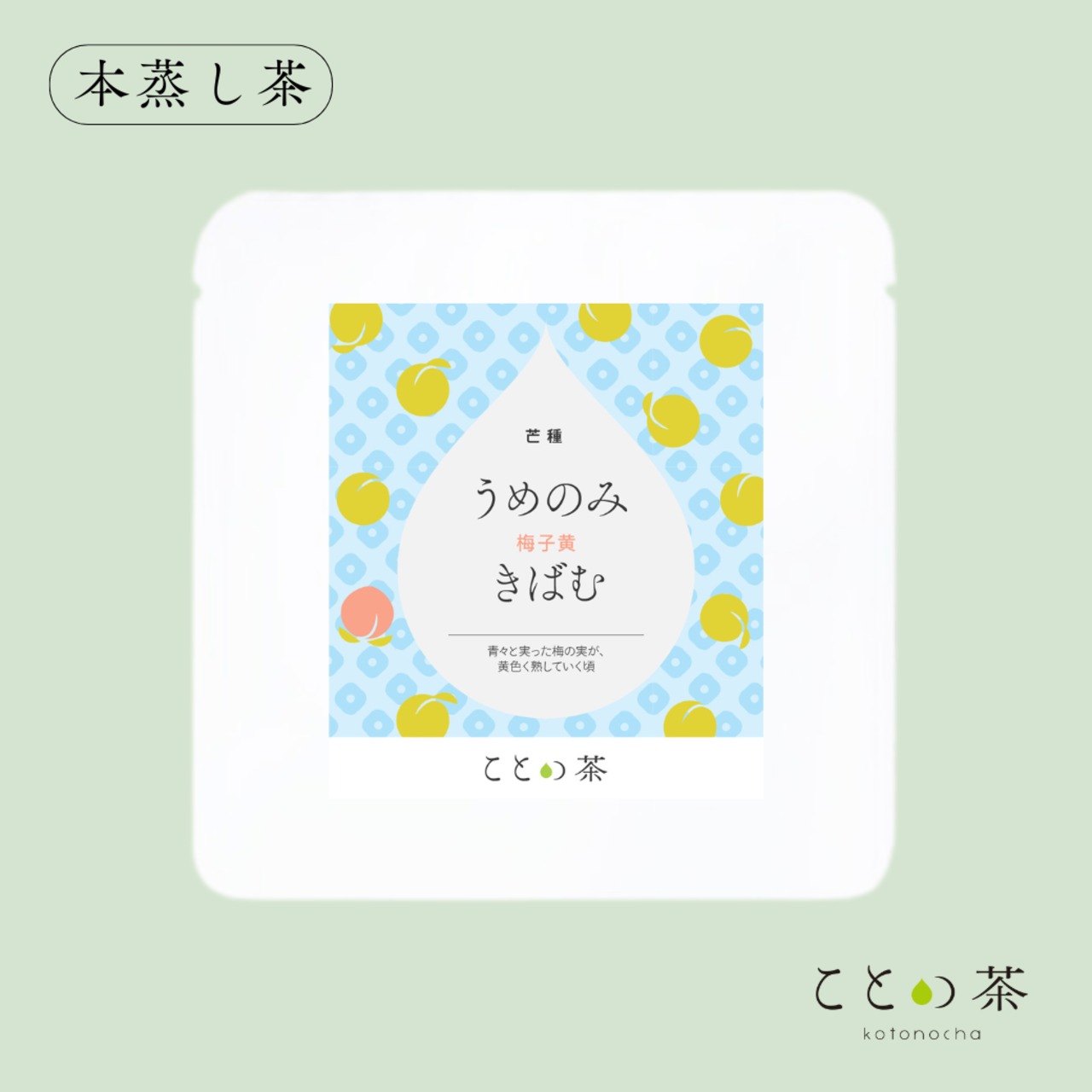 ことの茶 ５種 ＋ オープン急須「玄」