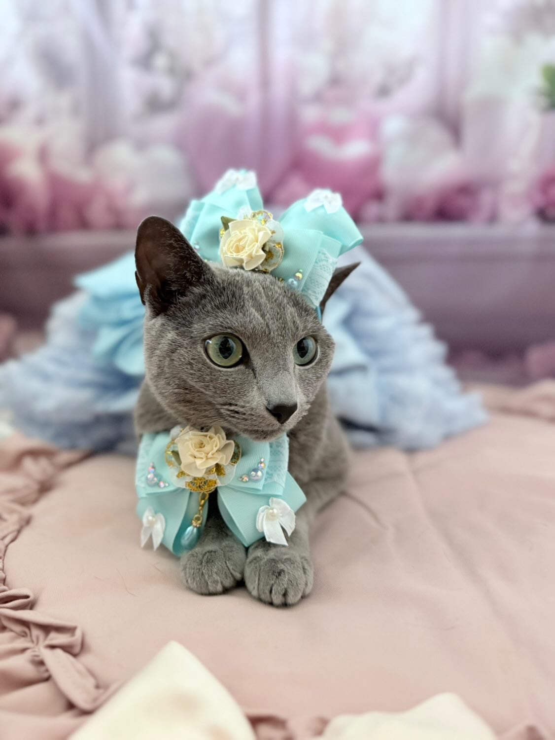 レースとお花のチョーカー】レギュラーサイズ 犬猫チョーカー リボン
