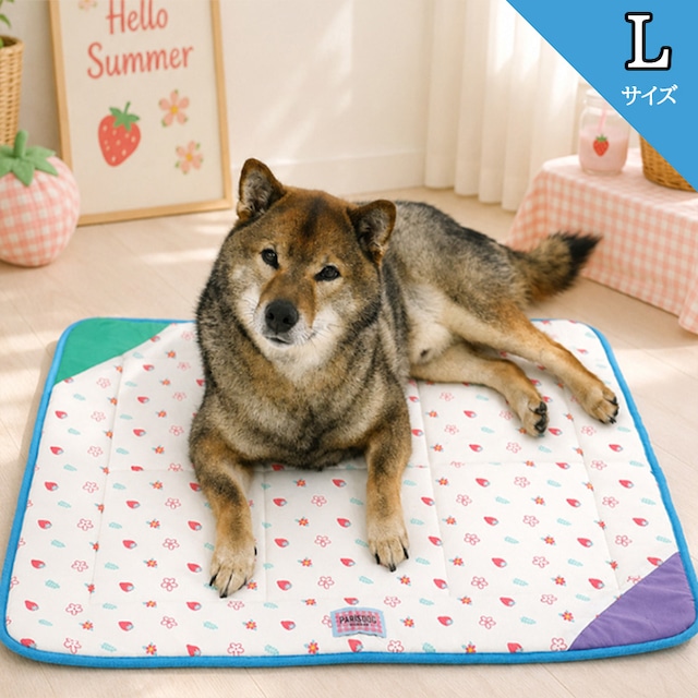 strawberry cool air mesh mat Lサイズ / 犬 夏用 マット 接触冷感 ひんやり ペットマット クール 軽量 軽い メッシュ素 材 大型犬 中型犬 L お出かけ 運びやすい 犬用 猫 暑さ対策 冷感 冷却 韓国