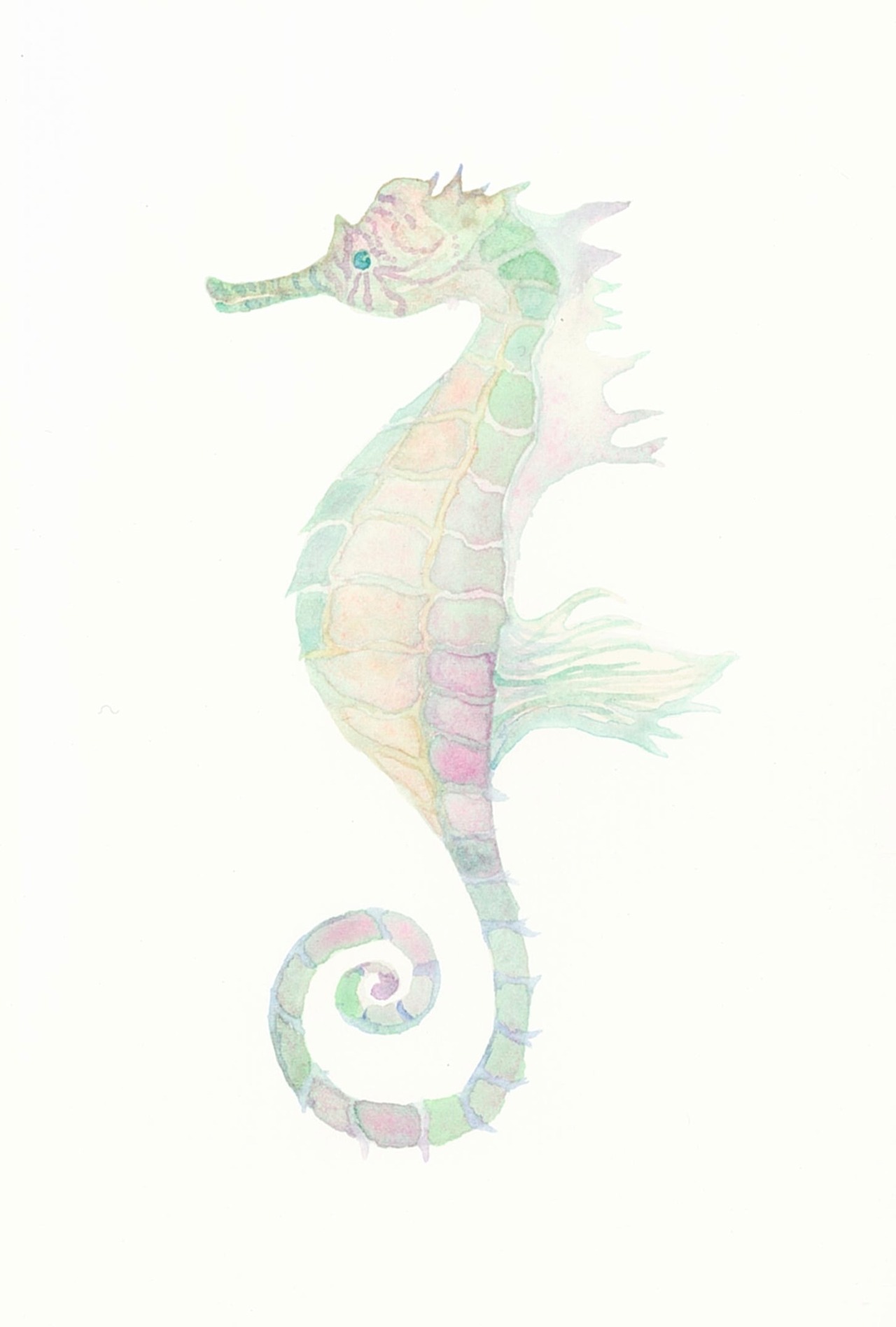 海馬888/ 海水画