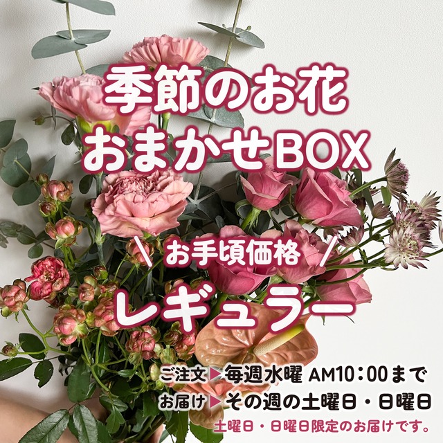 お手頃価格☆季節のお花☆おまかせBOX《レギュラー》毎月お花を変更