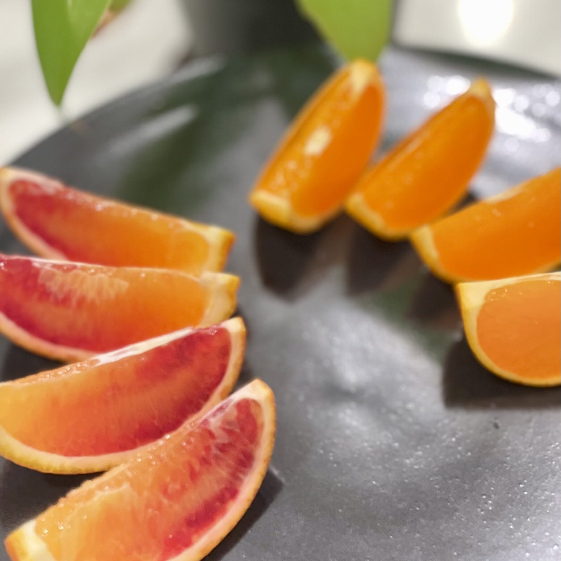 愛媛県産 ブラッドオレンジ 5kg(Lサイズ・赤秀)