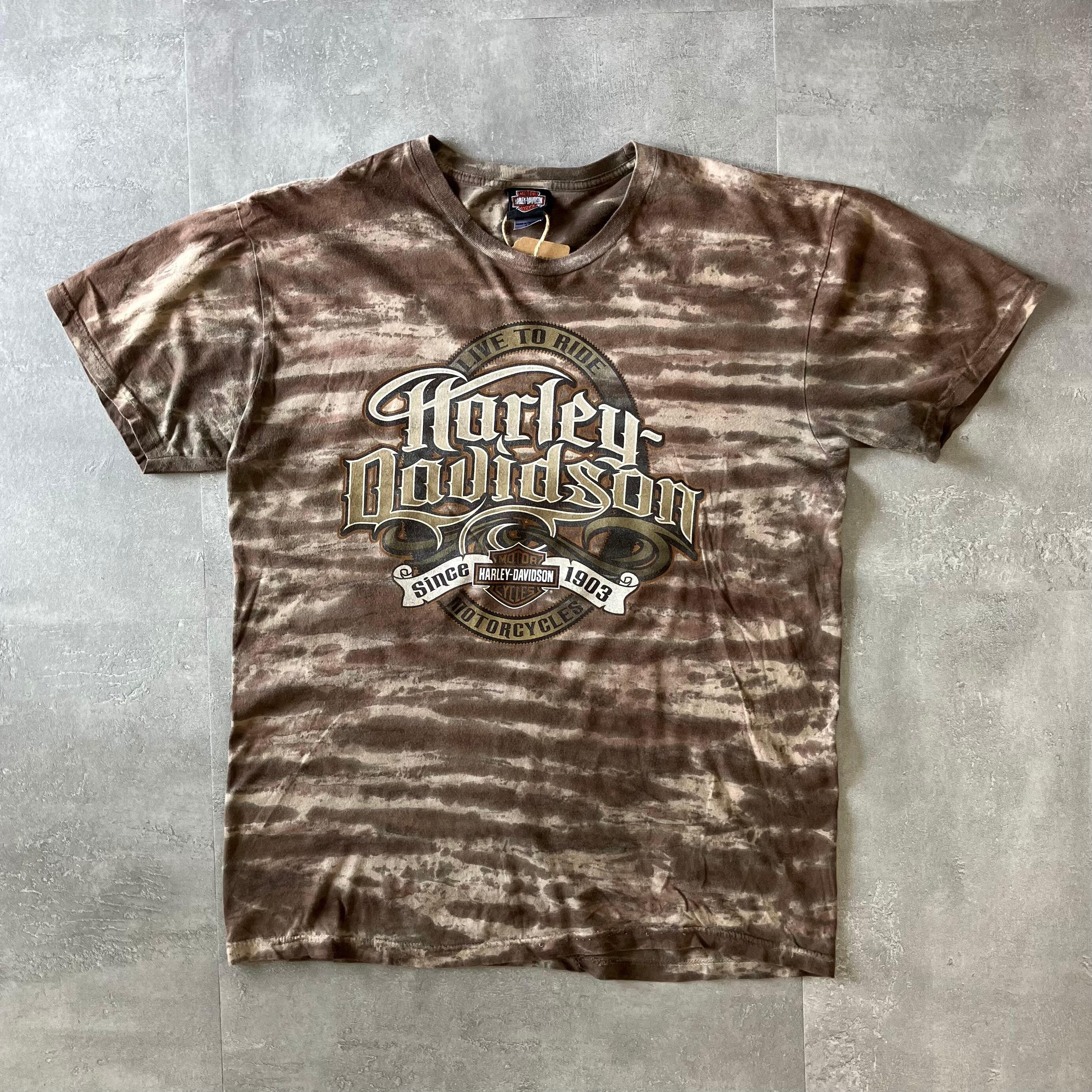 Harley-Davidson ハーレーダビッドソン 00s タイダイTee 両面プリント L No.2113