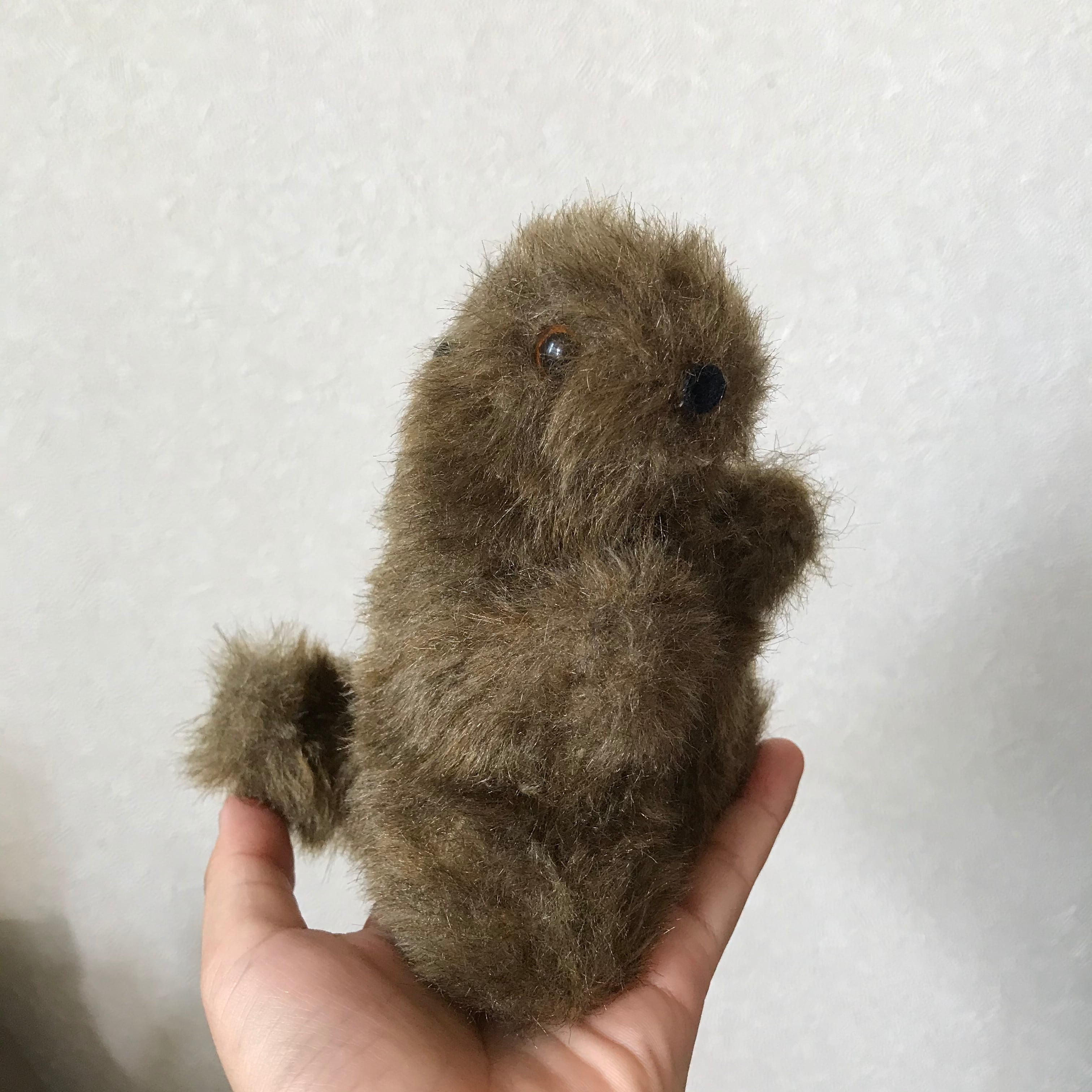 けむくじゃらビーバー