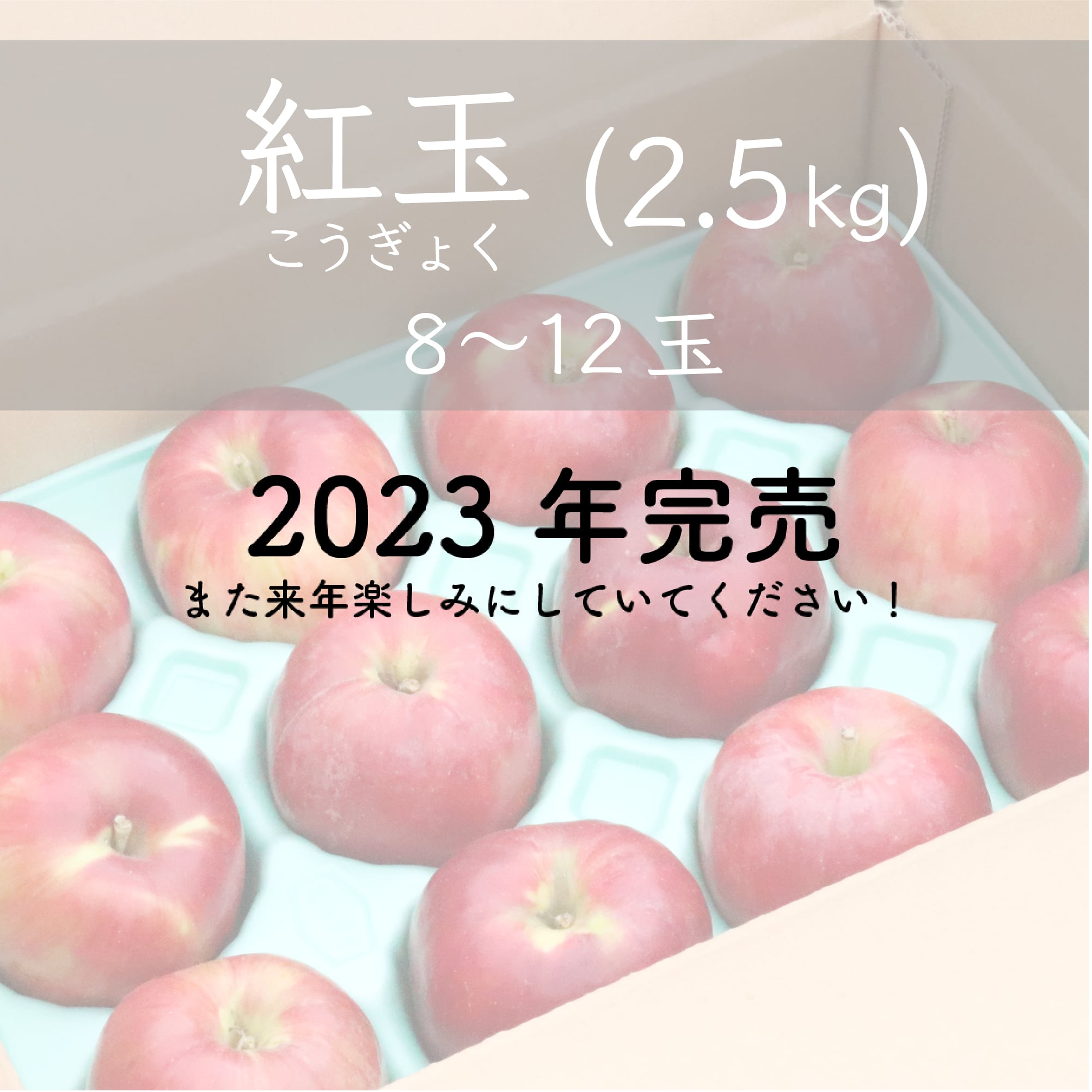 約2.5㎏（8～12玉）　りんご”紅玉”　家庭用　フルーツガーデン北沢／マルカメ醸造所