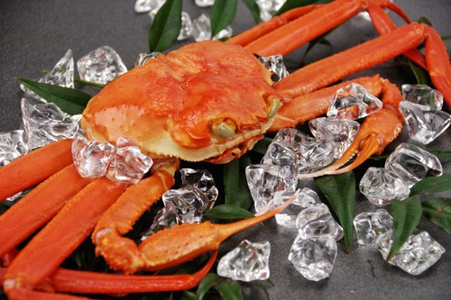 【鳥取境港カニ】浜茹で松葉蟹 400gサイズ＆活松葉ガニ　セット！　　※足折れ