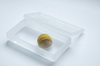 王承龍 WANG Chenglong - 1/100の畳の箱 glass box
