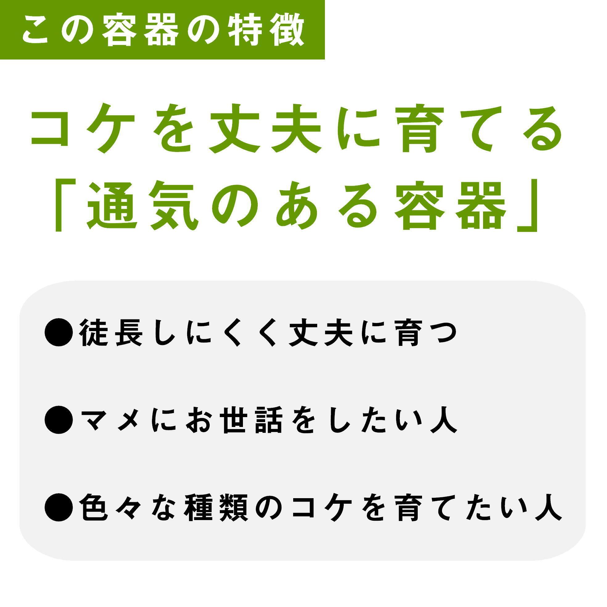 ガラス容器】 苔テラリウム用 15cmガラス水槽＜High