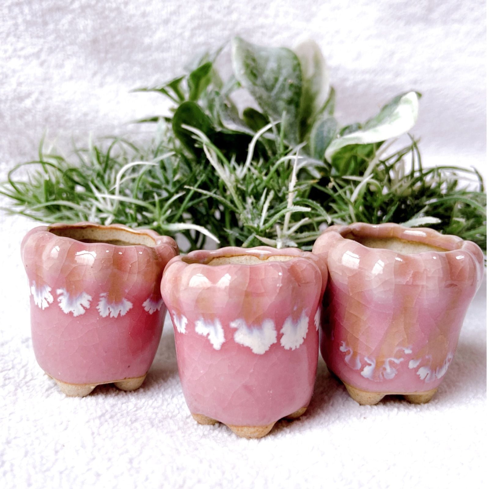 9d23eee7d1934297af7dafba0e9621