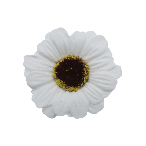 ミニガーベラMG-W1ホワイト (15輪入りor25輪入り)