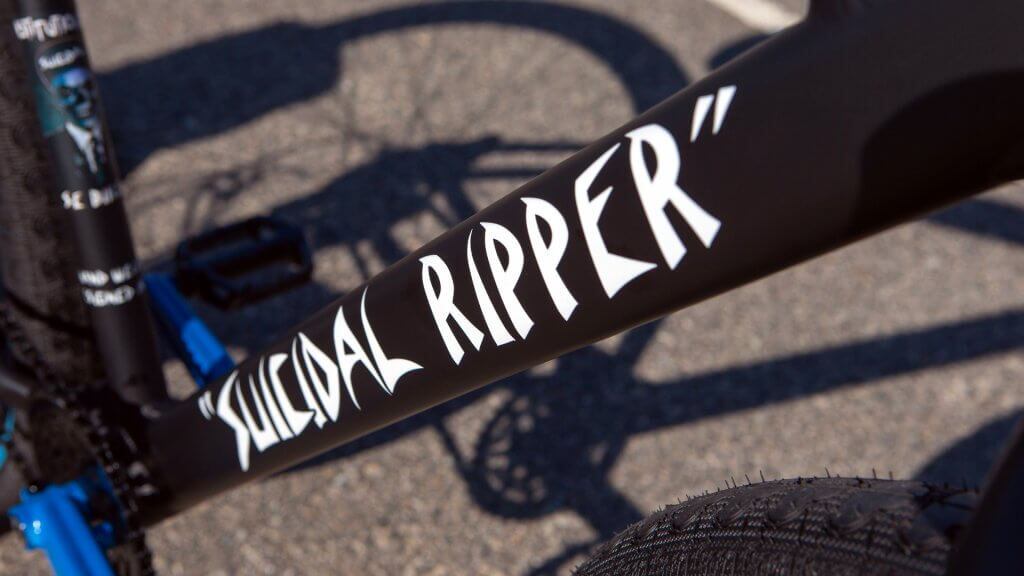 SE BIKES SUICIDAL TENDENCIES BIG RIPPER 29″ BMX | MERSYS