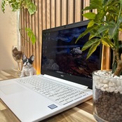 \ 公式ショップ限定価格❣️/ 超美品《光学ドライブ搭載》NEC LAVIE Direct N15 メモリ12GB SSD256GB 人気ノートパソコン 安心サポート&3ヶ月保証付き