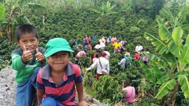 久しぶりの正統派コロンビア【コロンビア】カウカ・スプレモ　-Specialty ★★★-