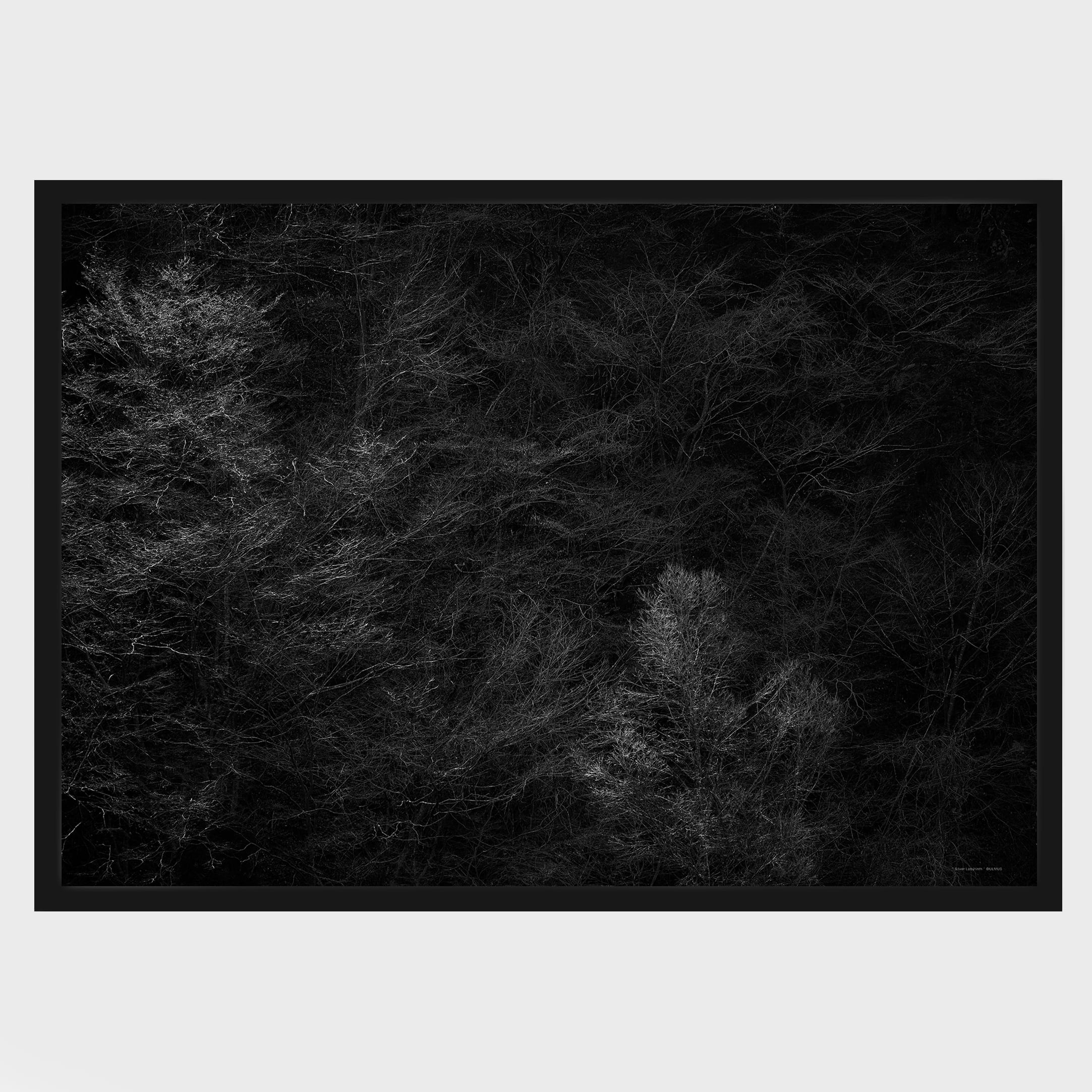 " Silver Labyrinth" 銀の迷宮