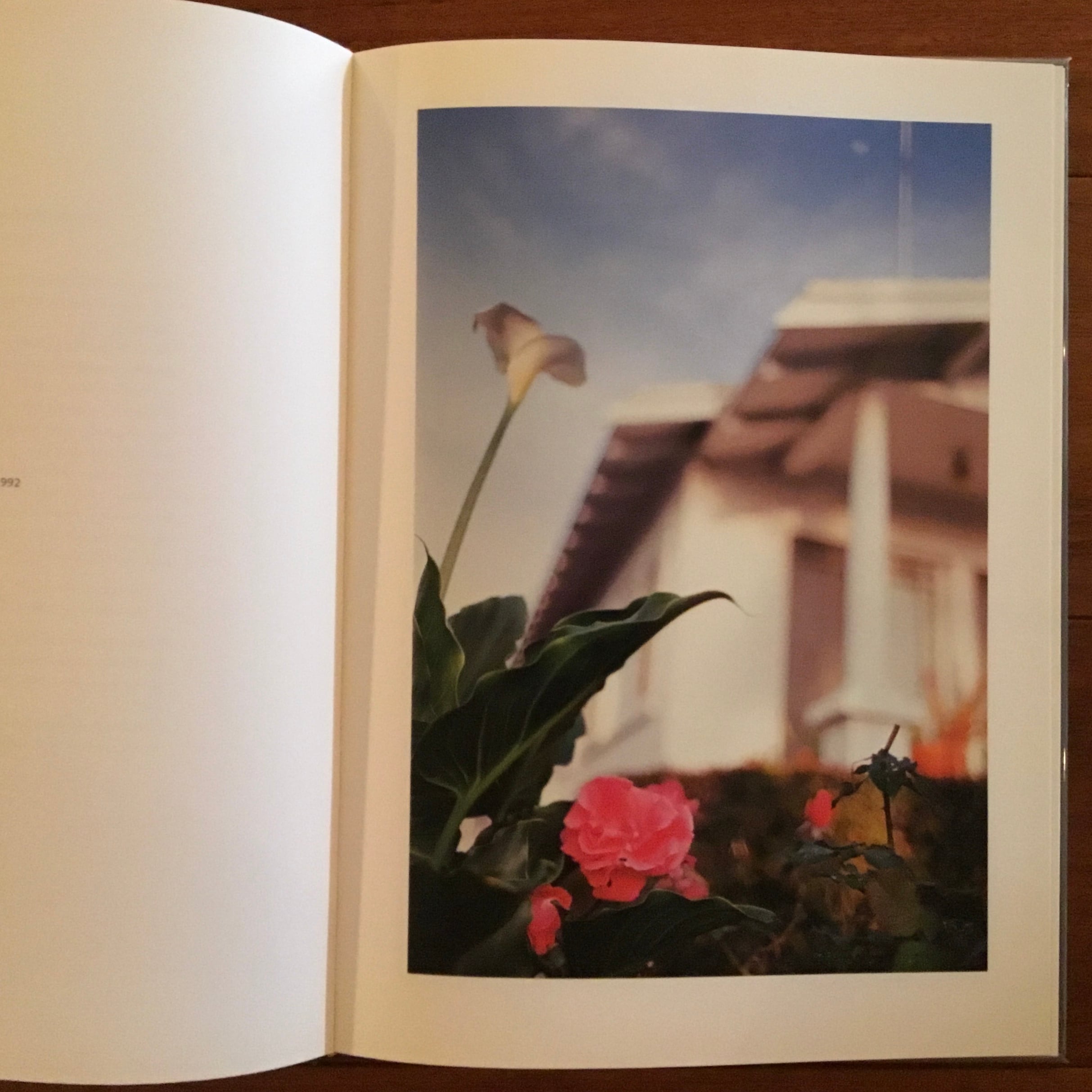 In Your Dreams | Flying Books In Your Dreams | Flying Books