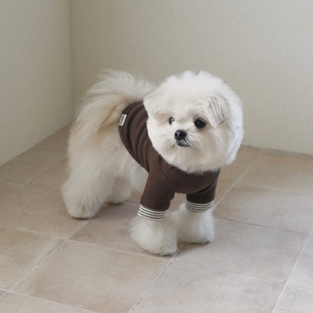 【即納】Layered Turtleneck｜Brown