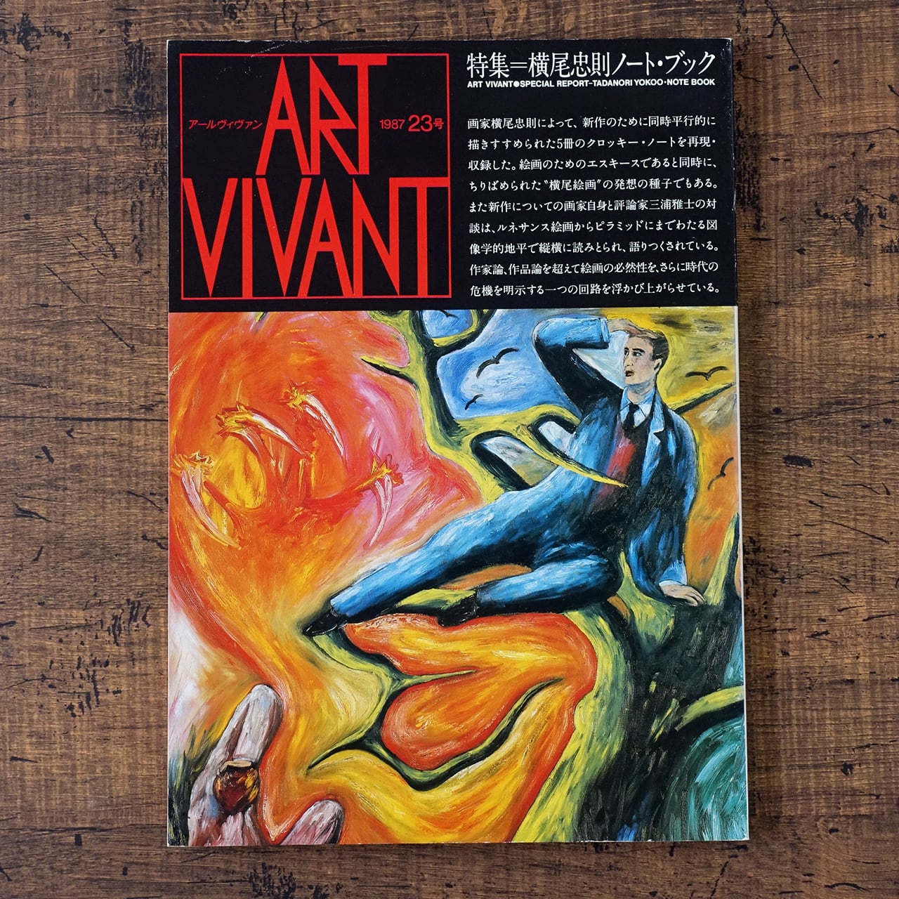 ISAMU NOGUCHI : STONES AND PAPER ◇ イサム・ノグチ「紙と石」 [DVD