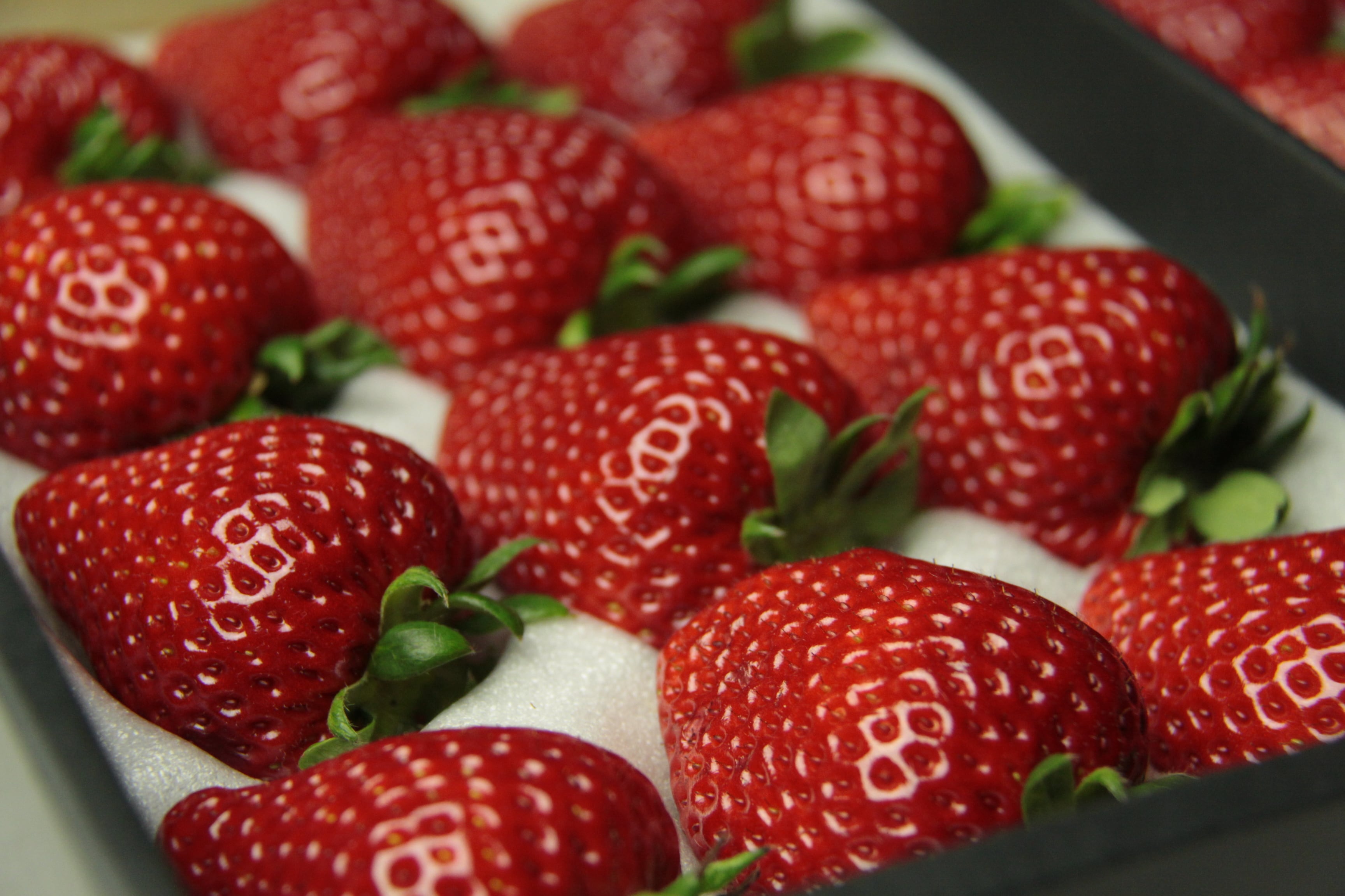 贈答用 あまりん(松） | Strawberry Farm Berry Berry Berry