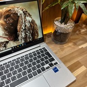 \ 公式ショップ限定価格❣️/ 準極美品《最新2023年モデル》HP EliteBook 630 G10 メモリ16GB SSD256GB ノートパソコン 安心サポート&3ヶ月保証付き