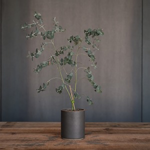 《HASAMI PORCELAIN【Planter φ85×106mm Black】》| HASAMI PORCELAIN