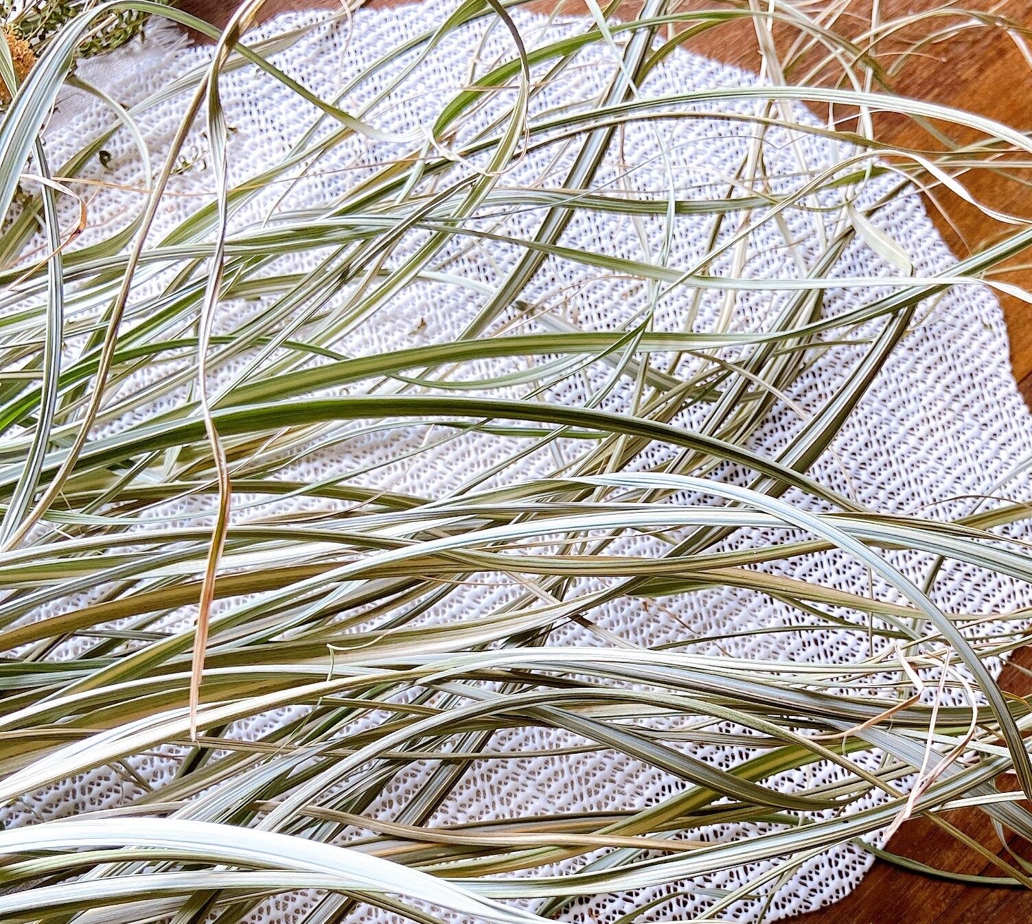 大容量】奄美大島産のドライリーフ「ススキの葉」500本 ドライフラワー