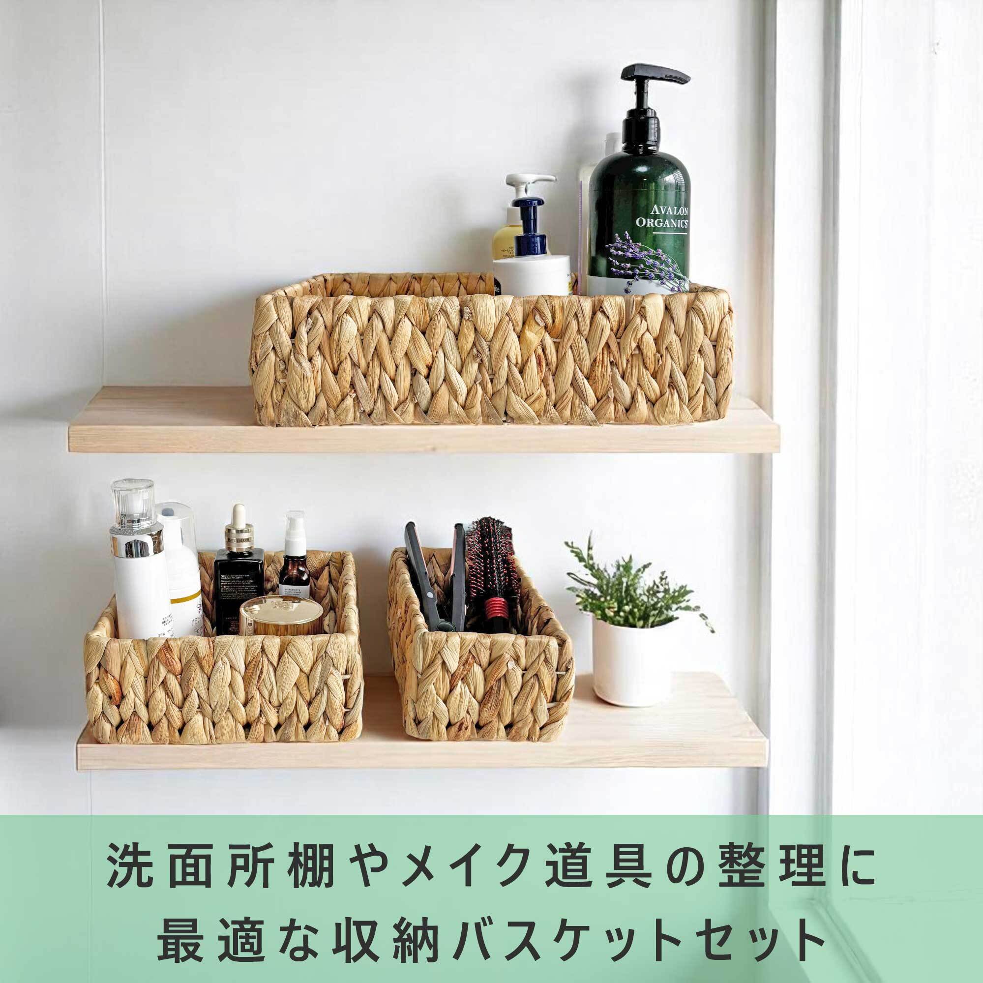 ウォーターヒヤシンス 3点セット