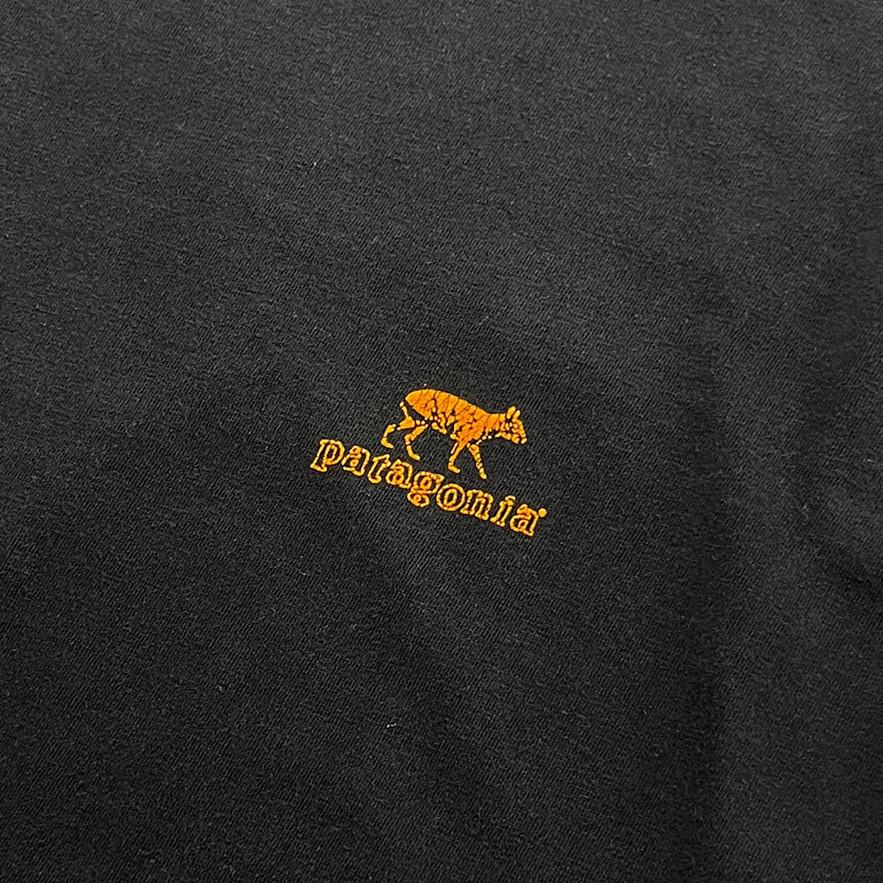 90年代 USA製 patagonia パタゴニア 絶滅危惧種 バックプリント T 