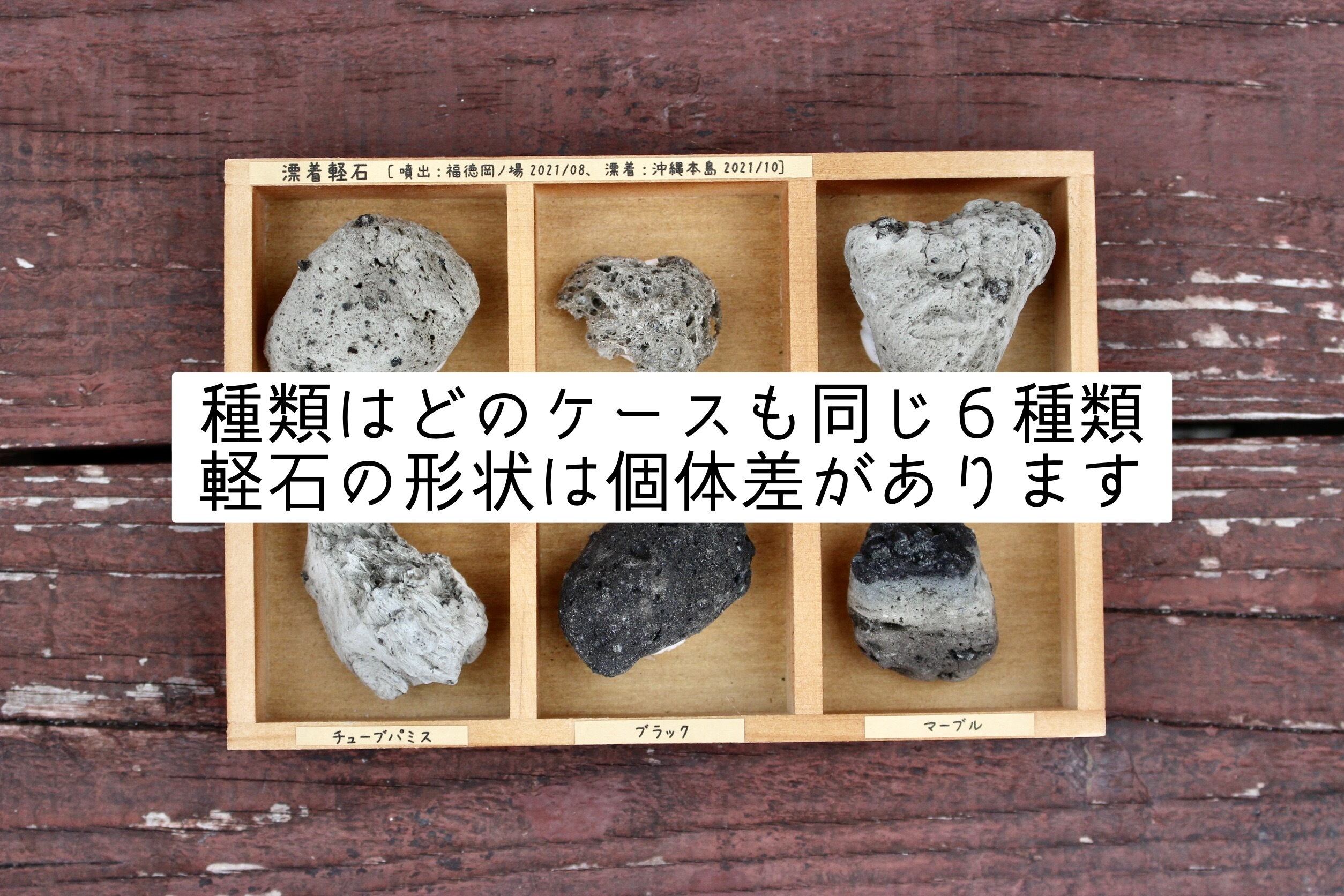 かわいい軽石コレクションBOX◇6種類◇福徳岡ノ場・2021噴火による