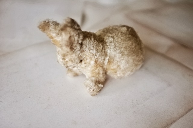 フランス 微笑みのウサギさん ドール アンティーク