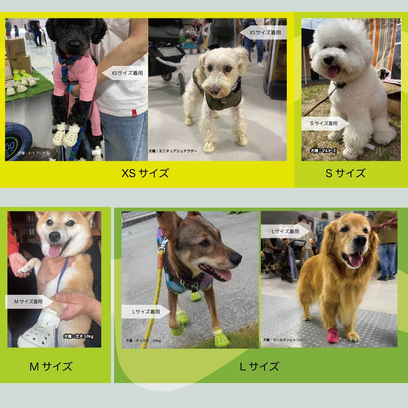 ワンダル 犬 用 靴 肉球 保護 火傷 傷 防止 シューズ サンダル 夏 冬