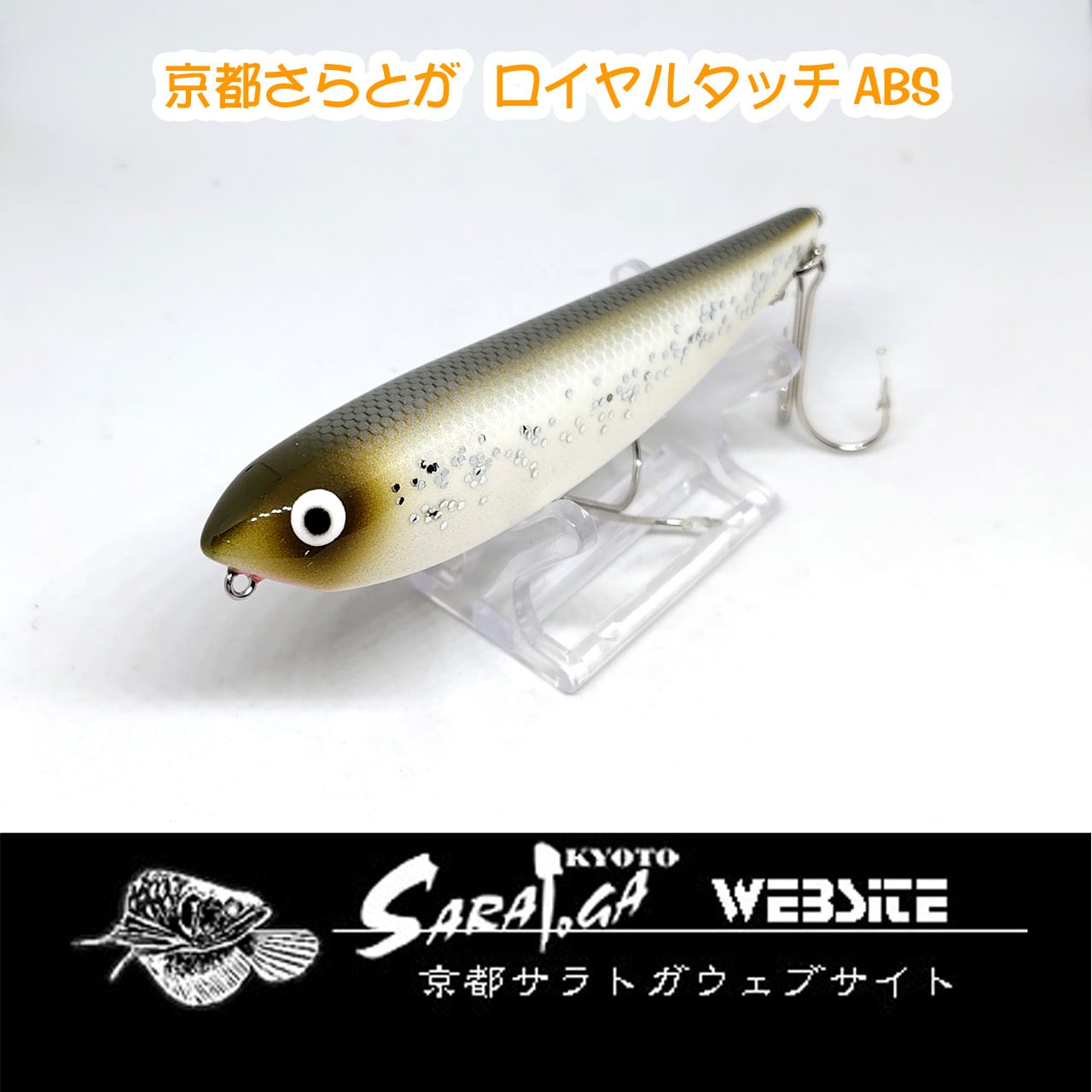 ザウルス ヨルマルミノー | 京都さらとが