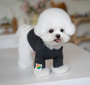 シンプルトップス⭐︎2XS〜3XL（送料180円）