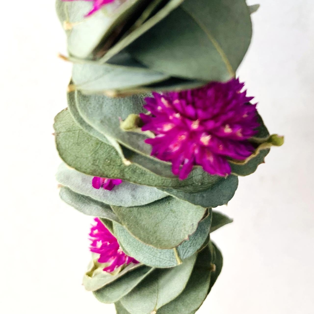 ガーベラと紫陽花のグリーン×ピンクハーフリース　ドライフラワー　ユーカリ ガーベラと紫陽花のグリーン×ピンクハーフリース ドライフラワー