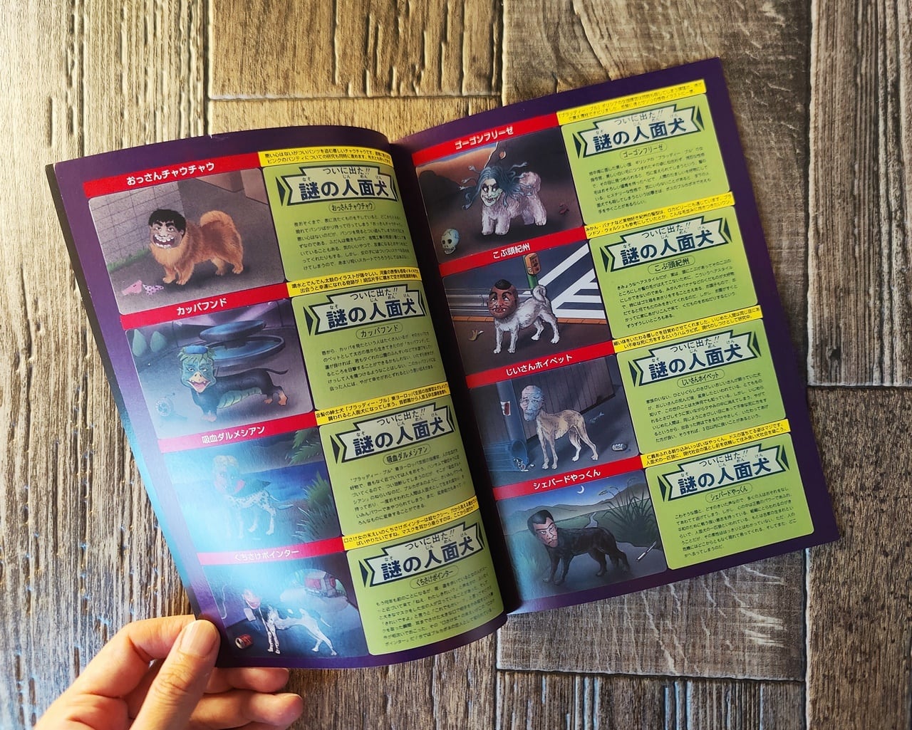 人面犬 研究駄ワン！ ／ とも駄珍子 館長 | NutsBookStand