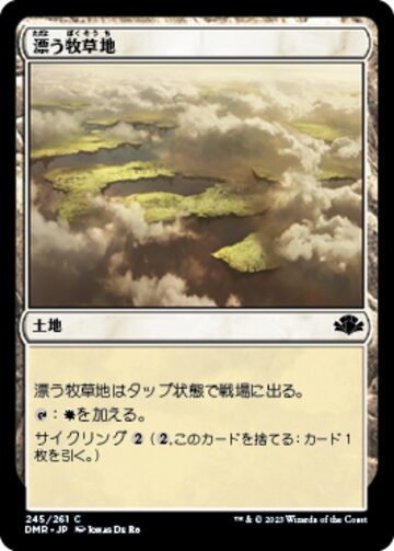 MTG《滅び/Damnation(2X2)》日本語 ボーダーレス | Pay ID