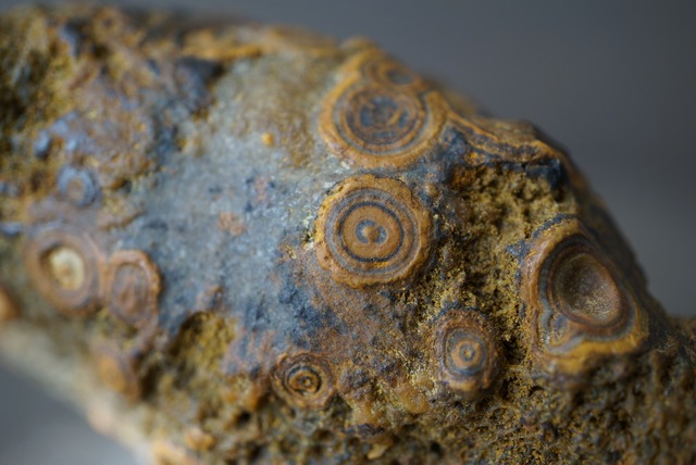 ゴビアゲート Gobi Agate 1127